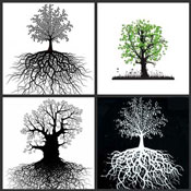 Fusing Paper & Decals
