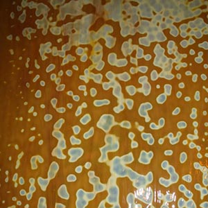 Toffee Ring Mottle link