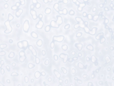White Ring Mottle link