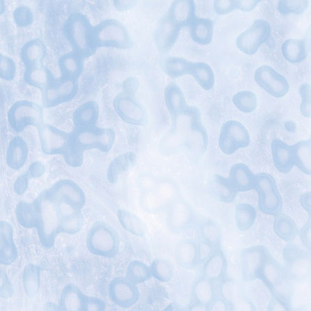 Blue-Gray/ White Ring Mottle link