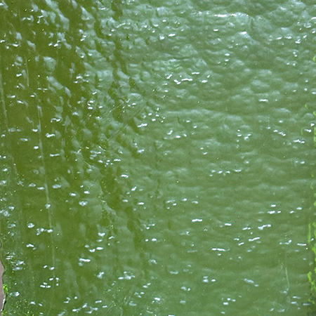 Spring Green Transparent Vintage Roll photo