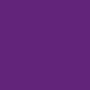 Color Magic Vivid Purple Transparent ++ link