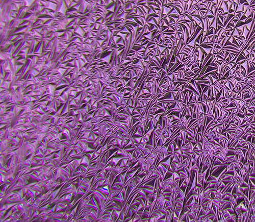 Crinklized Thin Black - Purple Dichroic 90 COE link