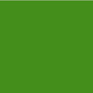 EZ Fire Enamel - Grass Green - 1 oz. link