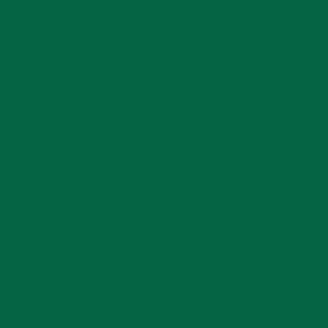EZ Fire Enamel - Chrome Green - 1 oz. photo