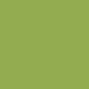 Hi-Fire Opaque Enamel Green Hi-Fire Opaque Enamel Green photo