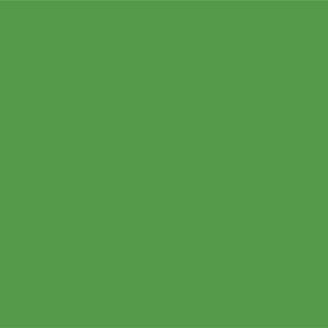 Lo-Fire Opaque Enamel Green photo