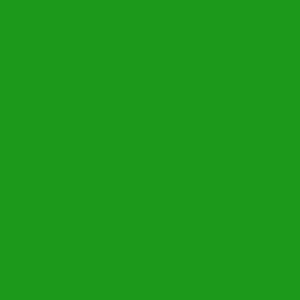 Lo-Fire Opaque Enamel Spring Green link