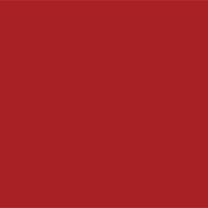 Lo-Fire Opaque Enamel Red Passion photo