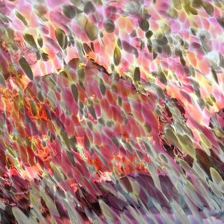 P1 338 Pink/ Yellow/ White link