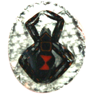 Spider Murrini Borosilicate 33 COE (4 Gram minimum) link