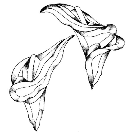 Calla Lily - Clear Bevel Cluster 6 x 6 in., 10 pieces link