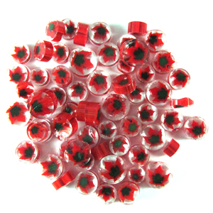 Maple Leaf Millefiori Slices - 90 COE link
