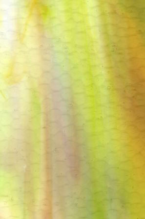 Medium Amber/ Lime Green/ Opal Hammered link