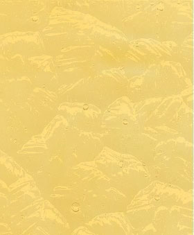 Light Amber Wavolite Light Amber Wavolite photo