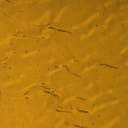 Medium Amber Ripple link