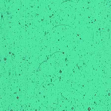 Light Blue Greens Dense link