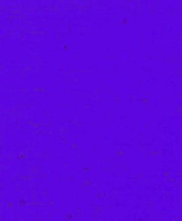 Dark Cobalt Blue Cathedral photo
