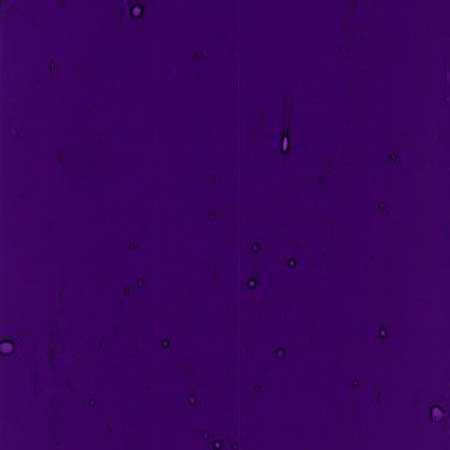Dark Violet Dense Dark Violet Dense photo