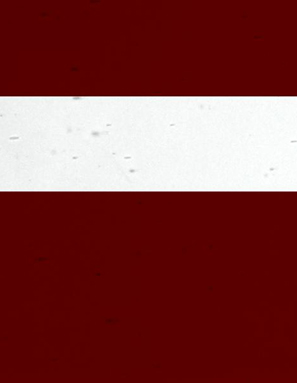 Dark Red on Clear Lamberts Antique link