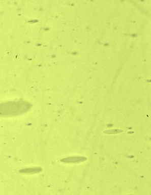 Light Yellowish Green Lamberts Antique link