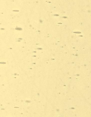 Pale Amber Lamberts Antique link