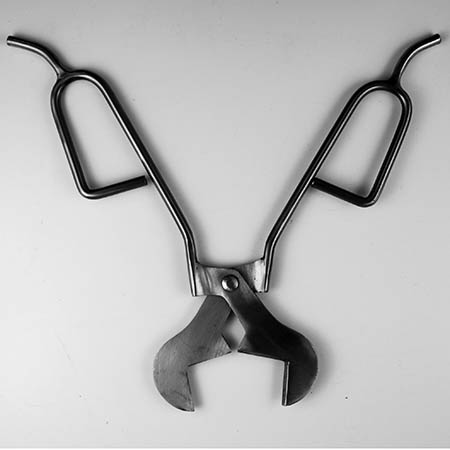 Economy Diamond Shears - 8 in. link