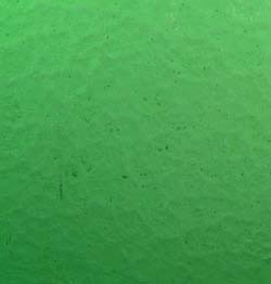Green 3-4 mm thick Effetre 19.5 in. x 19.5 in. Sheet 104 COE link
