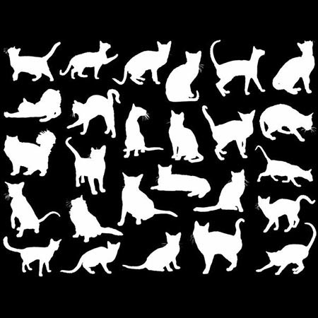 Cats Mica White Decals link