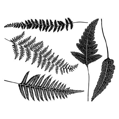 Ferns Black Decals link