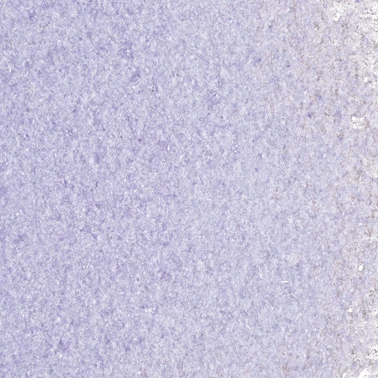 Grape Transparent Fine Frit 96 COE (8.5 oz. jar) Grape Transparent Fine Frit 96 COE (8.5 oz. jar) photo