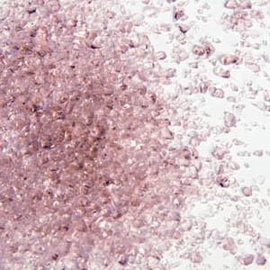 Pale Purple Medium Frit 96 COE (8.5 oz. jar) link