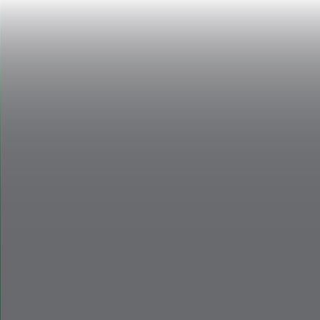 Traditional Stain - Silver Gray - 1 oz. link