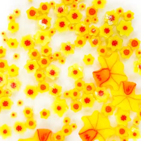 Daffodil Mix Murrini 90 Coe link