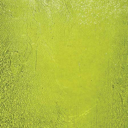 Lime Green Transparent 96 COE Uroboros by Youghiogheny link