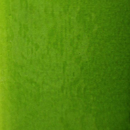 Pear Mystic photo