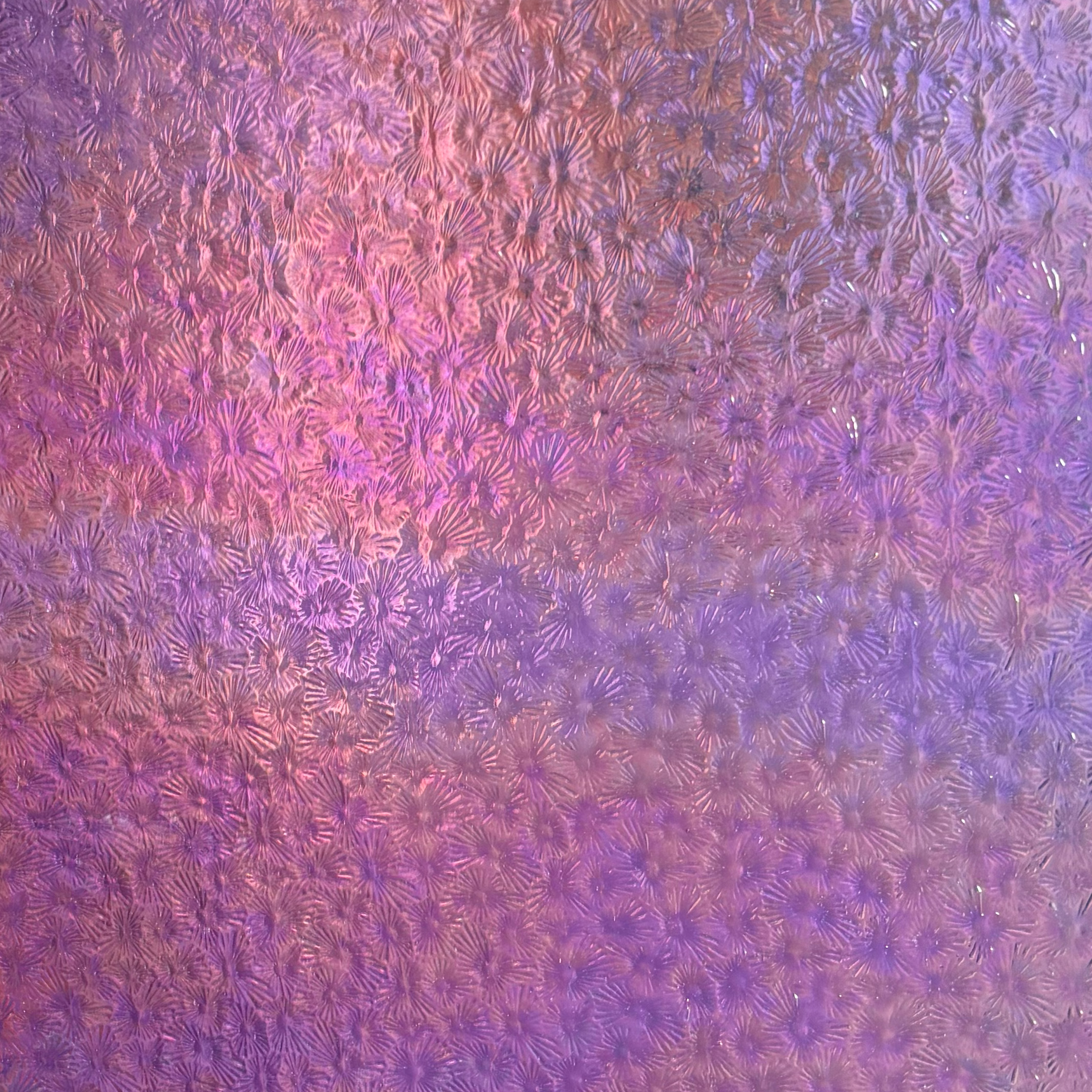Violet Florentine Iridized link