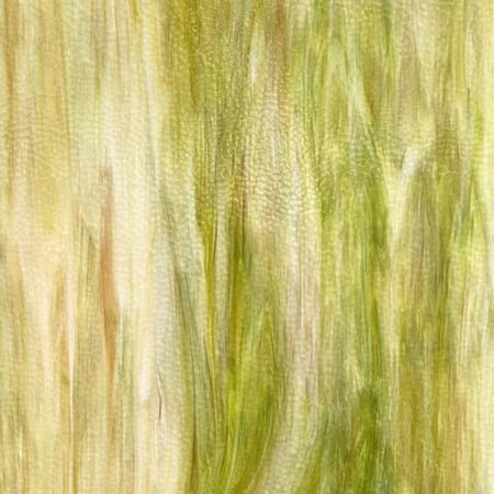 Green Thumb Hammered (Amber/ Green/ Opal Hammered) Green Thumb Hammered (Amber/ Green/ Opal Hammered) photo