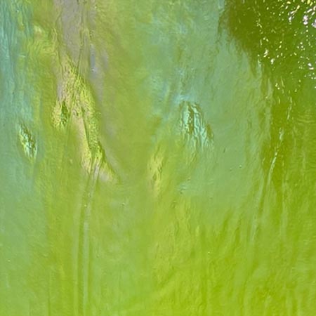 Y96 Lime Green Opal Iridized Fusible 96 COE Y96 Lime Green Opal Iridized Fusible 96 COE photo