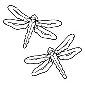 2 Damselflies - Blue Bevel Cluster 3-1/3 x 5-1/2 in., 6 pieces each link