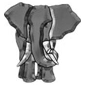 Elephant - Gray/Clear bevel cluster 10 x 11 in., 16 pieces link