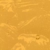Medium Amber Wavolite small photo